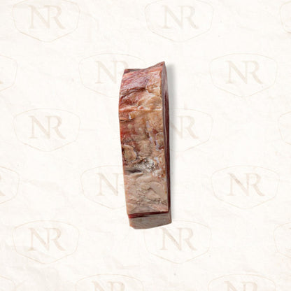 Dry-Aged AAA Prime Ribeye Steak Bundle